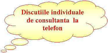 Cloud Callout: Discutiile individuale de consultanta la telefon