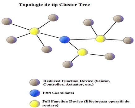 cluster_network.gif