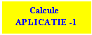 Text Box:          Calcule
   APLICATIE -1

