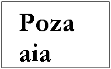 Text Box: Poza aia