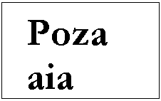 Text Box: Poza aia