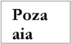 Text Box: Poza aia