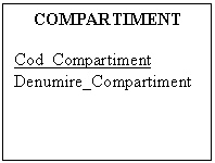Text Box: COMPARTIMENT

Cod_Compartiment
Denumire_Compartiment
