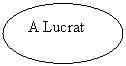 Oval: A Lucrat