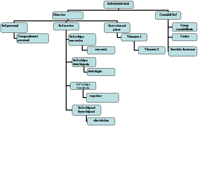 Organization Chart