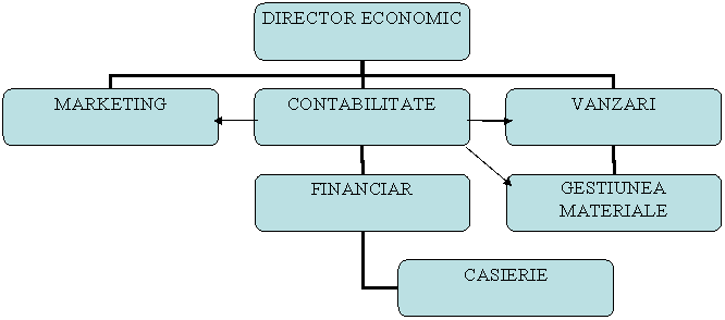 Organization Chart