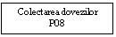 Text Box: Colectarea dovezilor P08