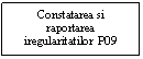 Text Box: Constatarea si raportarea iregularitatilor  P09