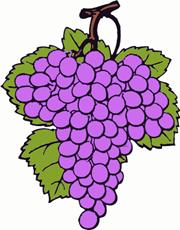 grape cluster