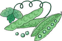 Clipart - Legume - Legumes - Cliparts - Image