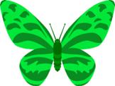 green butterfly clip art