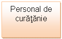 Text Box: Personal de curatanie