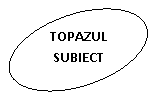 Oval: TOPAZUL SUBIECT