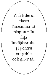 Oval: A fi liderul clasei inseamna sa raspunzi in fata invatatorului si pentru greselile colegilor tai. De aceea, nu vreau sa fiu seful clasei..

