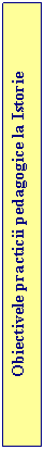 Text Box: Obiectivele practicii pedagogice la Istorie

