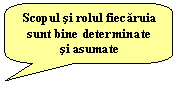 Rounded Rectangular Callout: Scopul si rolul fiecaruia sunt bine determinate 
si asumate
