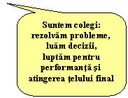 Rounded Rectangular Callout: Suntem colegi: rezolvam probleme, luam decizii,
luptam pentru performanta si atingerea telului final
