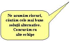 Rounded Rectangular Callout: Ne asumam riscuri,
cautam cele mai bune solutii alternative.
Concuram cu
 alte echipe
