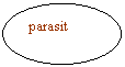 Oval: parasit