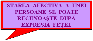 Rectangular Callout: STAREA AFECTIVA A UNEI PERSOANE SE POATE RECUNOASTE DUPA EXPRESIA FETEI.