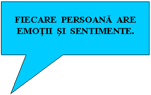 Rectangular Callout: FIECARE PERSOANA ARE EMOTII SI SENTIMENTE.
