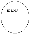 Oval: marea