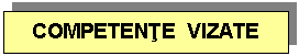 Text Box: COMPETENTE  VIZATE