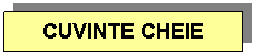 Text Box: CUVINTE CHEIE