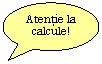 Oval Callout: Atentie la calcule!