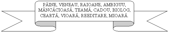 Up Ribbon: PAINE, VENEAU, RAIOANE, AMBIGUU, MANCACIOASA, TEAMA, CADOU, BIOLOG, CEARTA, VIOARA, REEDITARE, MIOARA.