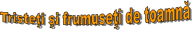 Tristeti si frumuseti de toamna