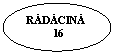 Oval: RADACINA
          16
