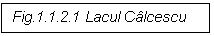 Text Box: Fig.1.1.2.1 Lacul Calcescu