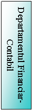 Text Box: Departamentul Financiar-Contabil