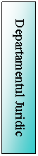 Text Box: Departamentul Juridic