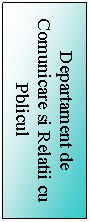 Text Box: Departament de Comunicare si Relatii cu Pblicul