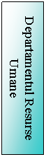 Text Box: Departamentul Resurse Umane