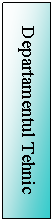 Text Box: Departamentul Tehnic