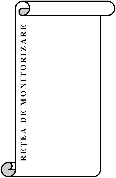 Vertical Scroll: RETEA DE MONITORIZARE