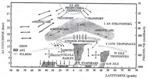 4.bmp