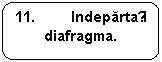 Rounded Rectangle: 11. Indepartați diafragma.