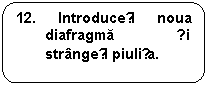 Rounded Rectangle: 12. Introduceți noua  diafragma și strangeți piulița.