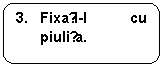 Rounded Rectangle: 3.	Fixați-l cu piulița.