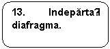 Rounded Rectangle: 13. Indepartați diafragma.