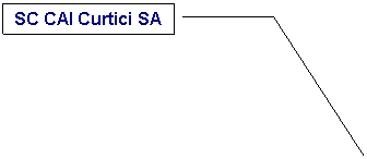 Line Callout 3: SC CAI Curtici SA