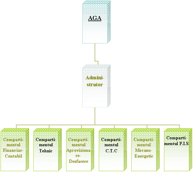 Organization Chart