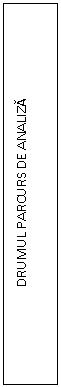 Text Box: DRUMUL PARCURS DE ANALIZA