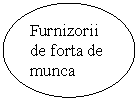 Oval: Furnizorii de forta de munca