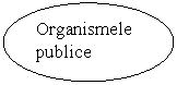 Oval: Organismele publice