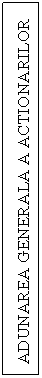 Text Box:  ADUNAREA GENERALA A ACTIONARILOR
